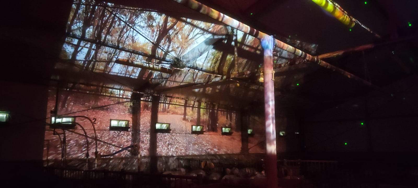 Nature projection across the interior of the Artificial Nature pig barn