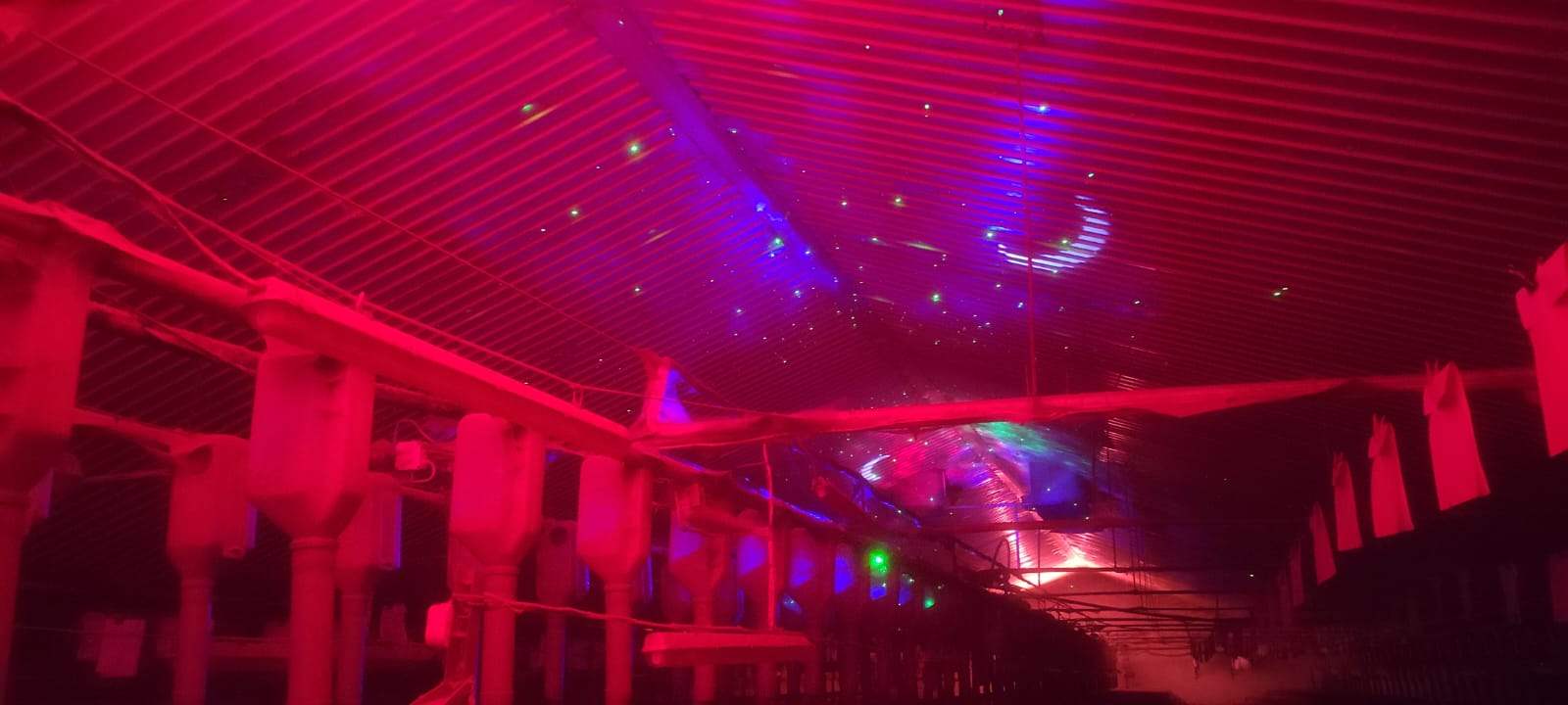 Red ambient lighting and projected effects inside the Artificial Nature pig barn