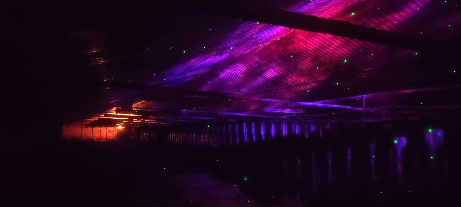 Purple and red ambient lighting inside the Artificial Nature pig barn